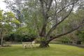 Property photo of 240-244 Woombye-Palmwoods Road Palmwoods QLD 4555