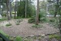 Property photo of 11 Maculata Circuit Dalmeny NSW 2546