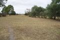Property photo of 7 Mountview Close Pyalong VIC 3521