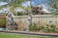 Property photo of 31 Daintree Way Ocean Grove VIC 3226