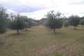 Property photo of 773 Ridge Road Cooks Gap NSW 2850