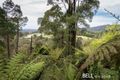 Property photo of 212 Olinda-Monbulk Road Monbulk VIC 3793