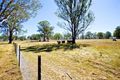 Property photo of 45 Matingara Way Wallacia NSW 2745