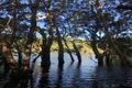 Property photo of 7 Chace Close Cooktown QLD 4895