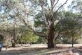 Property photo of 21-23 Gibson Avenue Kennett River VIC 3234