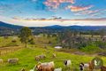 Property photo of 189 Shaws Pocket Road Luscombe QLD 4207