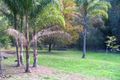 Property photo of 284 Trees Road Tallebudgera QLD 4228