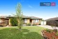 Property photo of 21 Wattleglen Street Craigieburn VIC 3064