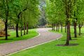 Property photo of 450 Robinsons Road Langwarrin South VIC 3911