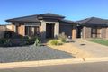 Property photo of 39 Arcadia Drive Smithfield SA 5114