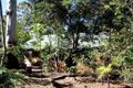 Property photo of 47 Kinabalu Drive Tamborine Mountain QLD 4272