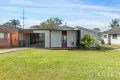 Property photo of 49 Leawarra Avenue Barrack Heights NSW 2528