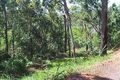 Property photo of 3 Chace Close Cooktown QLD 4895