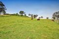 Property photo of 9 The Glade Kirkham NSW 2570