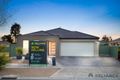 Property photo of 41 Manuka Grove Wyndham Vale VIC 3024