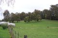 Property photo of 196 Hendersons Road Barrington TAS 7306