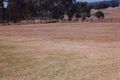 Property photo of 7 Sturt Place Windsor Downs NSW 2756