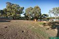 Property photo of 6 Cooke Drive Pyalong VIC 3521