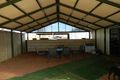 Property photo of 3 Bullpit Road Winkie SA 5343