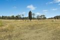 Property photo of 845 Ridge Road Cooks Gap NSW 2850