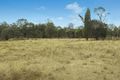 Property photo of 845 Ridge Road Cooks Gap NSW 2850