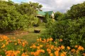 Property photo of 38 Vincent Street Waratah TAS 7321