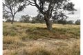 Property photo of Castlereagh Highway Walgett NSW 2832