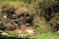 Property photo of 665 Left Bank Road Mullumbimby Creek NSW 2482