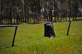 Property photo of 11 Shanvale Access Road Mount Tom QLD 4677