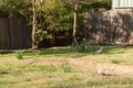 Property photo of 51 Foveaux Street Ainslie ACT 2602