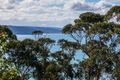 Property photo of 22 Francis Street Lorne VIC 3232