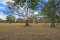 Property photo of 103 Coish Avenue Benalla VIC 3672