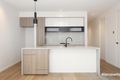 Property photo of 11 Eucalypt Avenue Malvern East VIC 3145