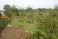 Property photo of 26 Landy Road Foster VIC 3960