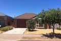 Property photo of 5 Wilpena Avenue Klemzig SA 5087