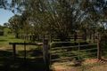 Property photo of 476 Derrymore Road Derrymore QLD 4352