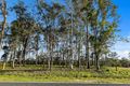 Property photo of 40 Hidden Place Curra QLD 4570