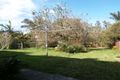 Property photo of 31 Point Street Bulli NSW 2516