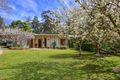 Property photo of 24 Sunnyside Avenue Wentworth Falls NSW 2782