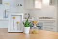 Property photo of 335/8 Lachlan Street Waterloo NSW 2017