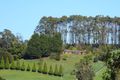 Property photo of 5 Linden Heights Don TAS 7310