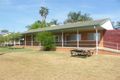 Property photo of 67 Ferry Street Forbes NSW 2871