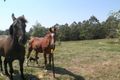 Property photo of 86 Spring Pastures Drive Mapleton QLD 4560