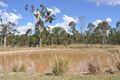 Property photo of 341 Neils Road Barmaryee QLD 4703