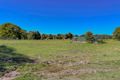 Property photo of 47 Jobsons Lane Mitchells Island NSW 2430