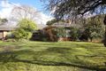 Property photo of 19 Melton Grove Croydon VIC 3136