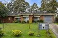 Property photo of 20 Angus Close Wantirna VIC 3152