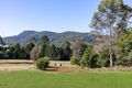 Property photo of 31-49 Browns Road Belli Park QLD 4562
