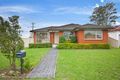 Property photo of 45 Fiona Street Mount Pritchard NSW 2170