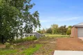 Property photo of 13A Dimora Avenue Camperdown VIC 3260